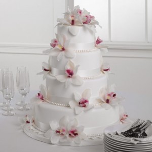 cake-design-9